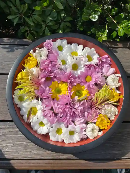 増上寺塔頭 三縁山 宝珠院の{uncategorized: "未分類", other: "その他", undefined: "問題あり", building: "その他建物", grave: "お墓", sacred_gate: "鳥居", guardian: "狛犬", statue: "像", buddha: "仏像", history: "歴史", nature: "自然", garden: "庭園", animal: "動物", pagoda: "塔", temizu: "手水舎", mountain_gate: "山門・神門", sanctuary: "本殿・本堂", subordinate: "末社・摂社", art: "芸術", scenery: "景色", jizo: "地蔵", ema: "絵馬", goshuin: "御朱印", omikuji: "おみくじ", items: "授与品その他", amulet: "お守り", goshuincho: "御朱印帳", eats: "食事", festival: "お祭り", votive_dance: "神楽", shichigosan: "七五三参", wedding: "結婚式", experience: "体験その他", initially: "初詣", around: "周辺", anti_infection: "感染症対策"}