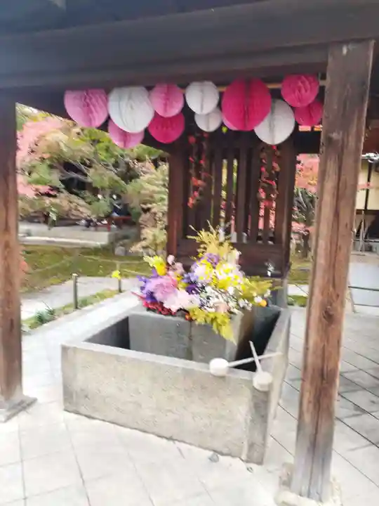 勝林寺(京都府)