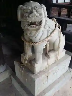 酒見寺の狛犬