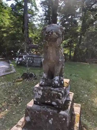 養父神社の狛犬