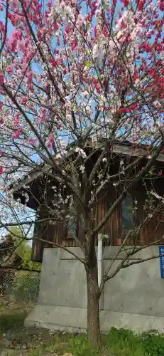 萬松寺(山形県)