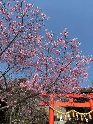 二川伏見稲荷の{uncategorized: "未分類", other: "その他", undefined: "問題あり", building: "その他建物", grave: "お墓", sacred_gate: "鳥居", guardian: "狛犬", statue: "像", buddha: "仏像", history: "歴史", nature: "自然", garden: "庭園", animal: "動物", pagoda: "塔", temizu: "手水舎", mountain_gate: "山門・神門", sanctuary: "本殿・本堂", subordinate: "末社・摂社", art: "芸術", scenery: "景色", jizo: "地蔵", ema: "絵馬", goshuin: "御朱印", omikuji: "おみくじ", items: "授与品その他", amulet: "お守り", goshuincho: "御朱印帳", eats: "食事", festival: "お祭り", votive_dance: "神楽", shichigosan: "七五三参", wedding: "結婚式", experience: "体験その他", initially: "初詣", around: "周辺", anti_infection: "感染症対策"}