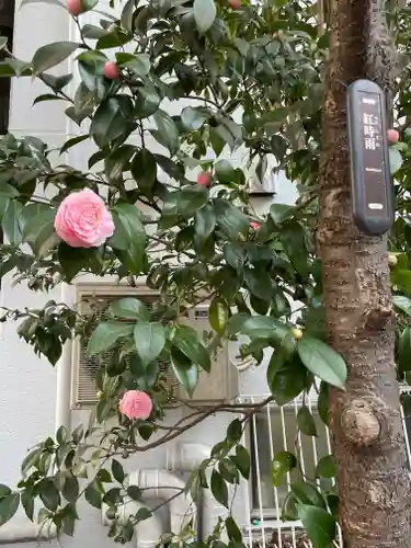 花園神社の自然