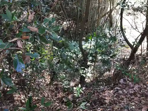 高根神社の周辺