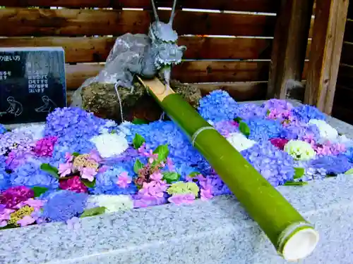 鎮守氷川神社の手水