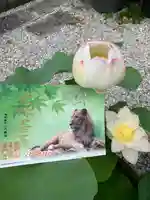 普門寺(切り絵御朱印発祥の寺)の御朱印