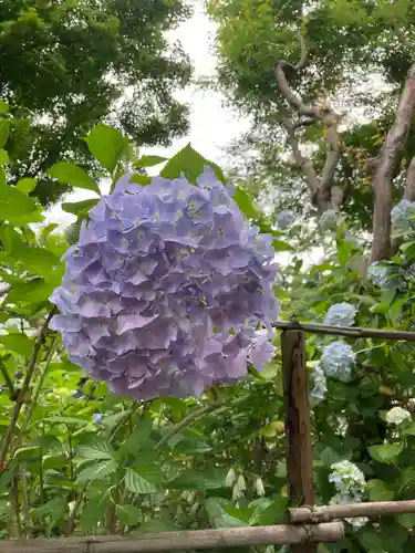 頼光寺(兵庫県)