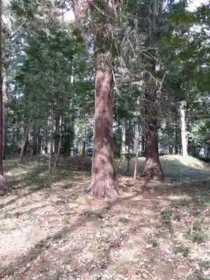 十社神社(埼玉県)