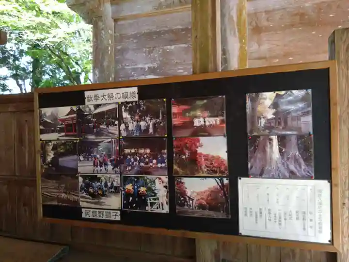 城原八幡社(大分県)