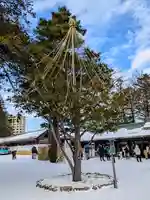 北海道神宮の自然