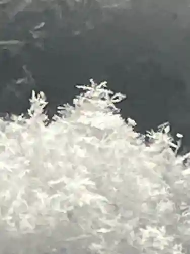 白山神社(岐阜県)