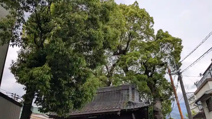秋葉神社の自然