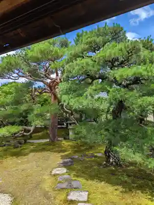 妙顯寺（妙顕寺）(京都府)