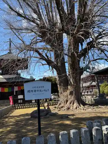 鑁阿寺(栃木県)