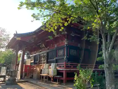 楽法寺(雨引観音)の本殿・本堂