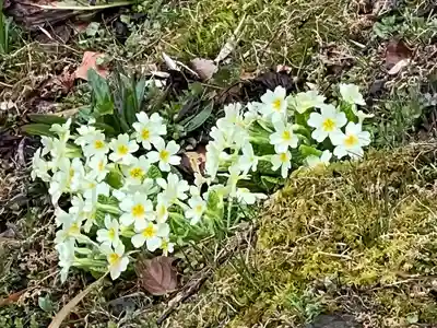 八王寺(埼玉県)