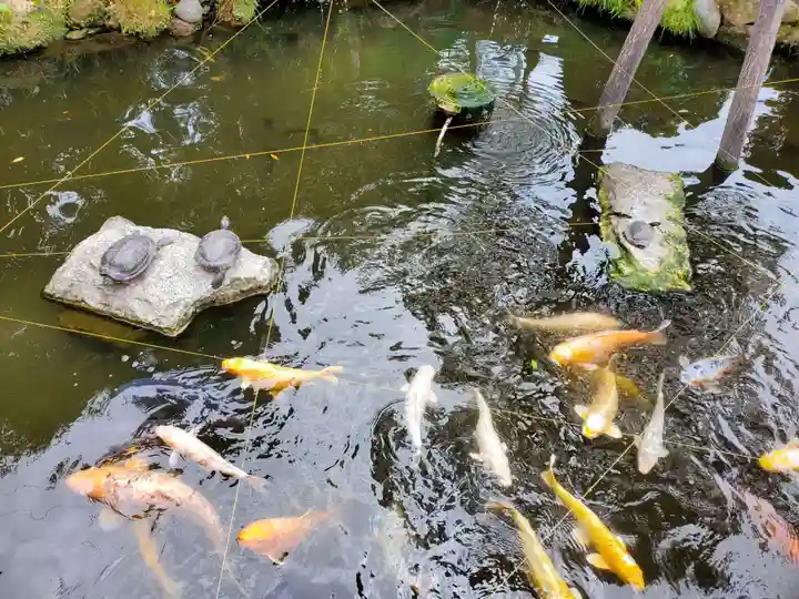 今泉八坂神社(栃木県)