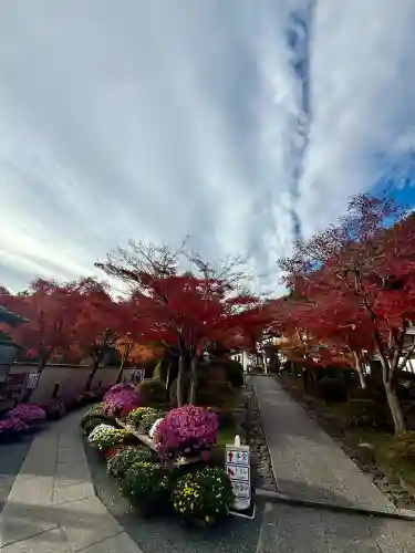 宝徳寺(群馬県)