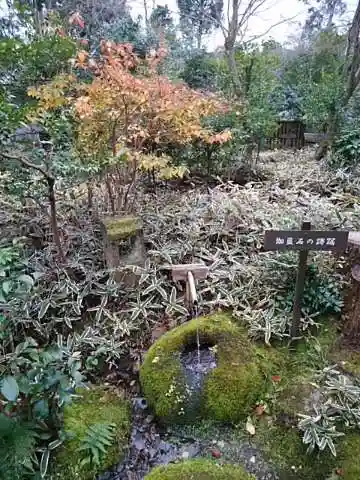 来迎院の手水舎