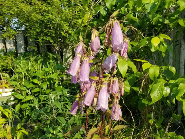 生石神社の自然