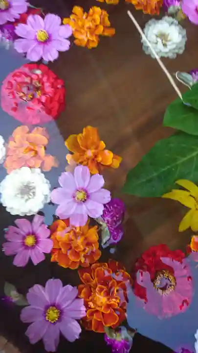 山寺日枝神社(山形県)