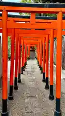 堀越神社(大阪府)