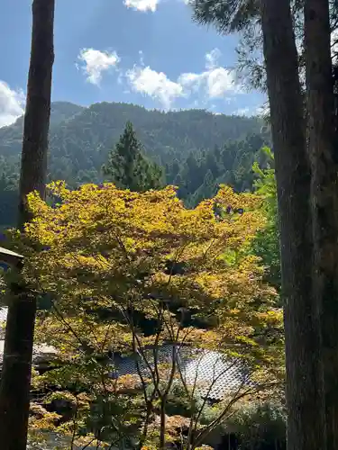 橋立堂(埼玉県)