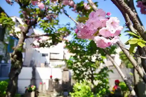 福王山  慈眼寺(東京都)