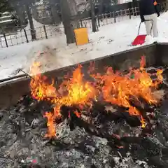 新琴似神社の建物その他