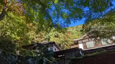 古知谷阿弥陀寺(京都府)