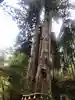 御岩神社の自然