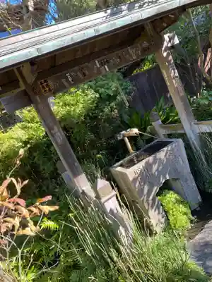 大巧寺の手水舎