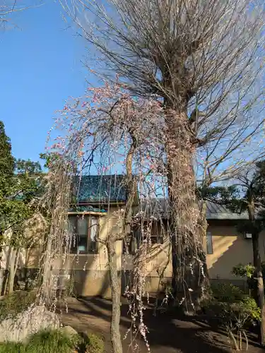 常徳院(東京都)