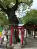 新田神社の鳥居