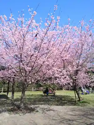 氷川女體神社(埼玉県)