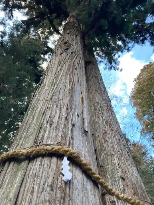 伊和神社の自然
