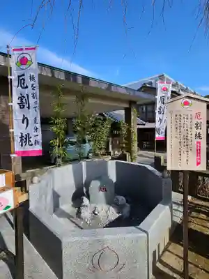 川越八幡宮(埼玉県)
