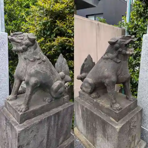 白金氷川神社の狛犬