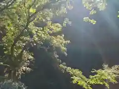 天岩戸神社(宮崎県)