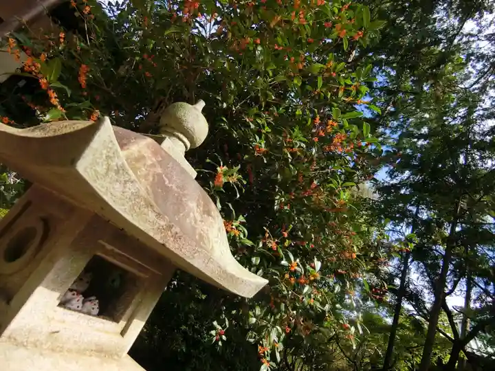 豪徳寺のその他建物