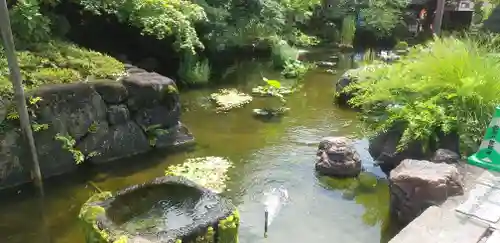 西新井大師総持寺の庭園