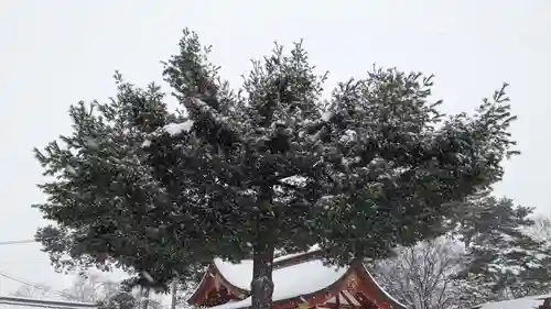 北鎮安全神社の自然