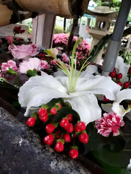 鳩森八幡神社(東京都)