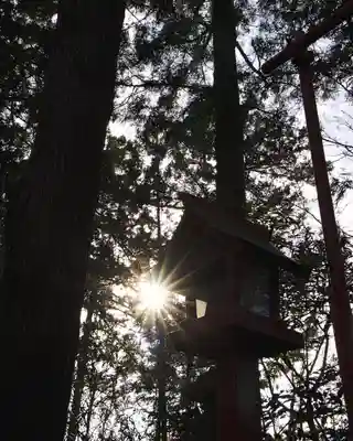 渋川八幡宮(群馬県)