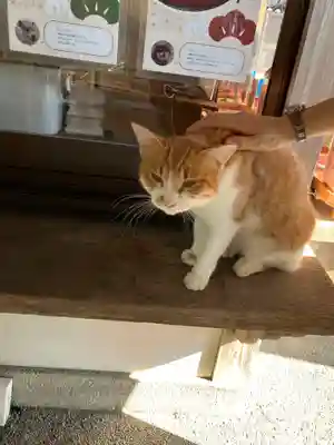 救馬溪観音(和歌山県)