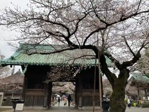 祐天寺の山門