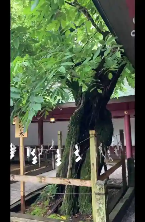 笠間稲荷神社(茨城県)