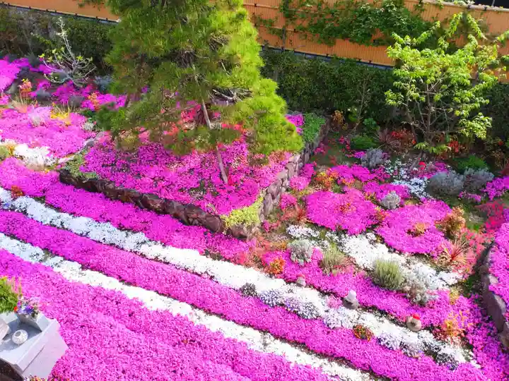 寿量山 速成寺(奈良県)