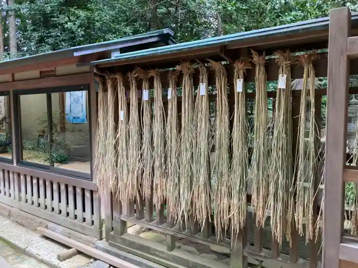 駒木諏訪神社(千葉県)