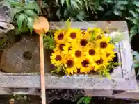 本郷氷川神社(東京都)